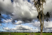 关于赛前英超焦点战，西汉姆迎来里程碑，压力陡增，赛程密集仍需轮换的信息