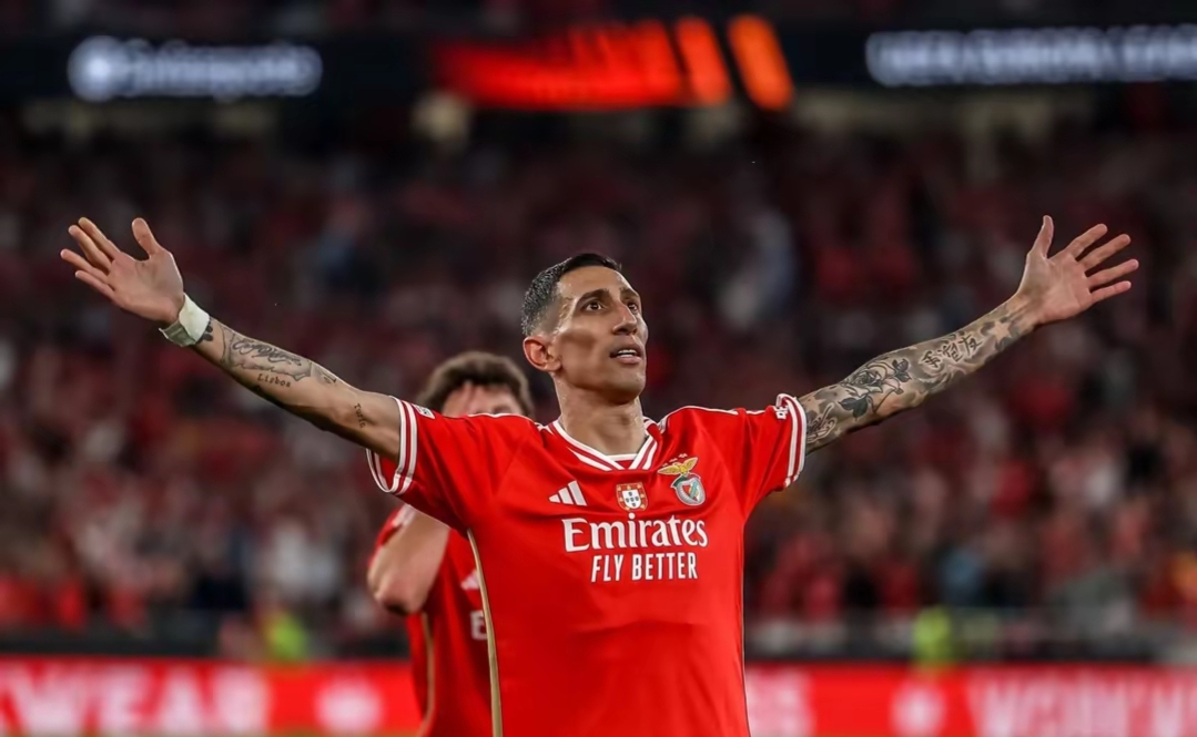 冲刺阶段体能课后,本菲卡强势反弹备战欧篮联,态度坚定,临场指挥获称赞的简单介绍 冲刺阶段体能课后,本菲卡强势反弹备战欧篮联,态度坚定,临场指挥获称赞的简单介绍