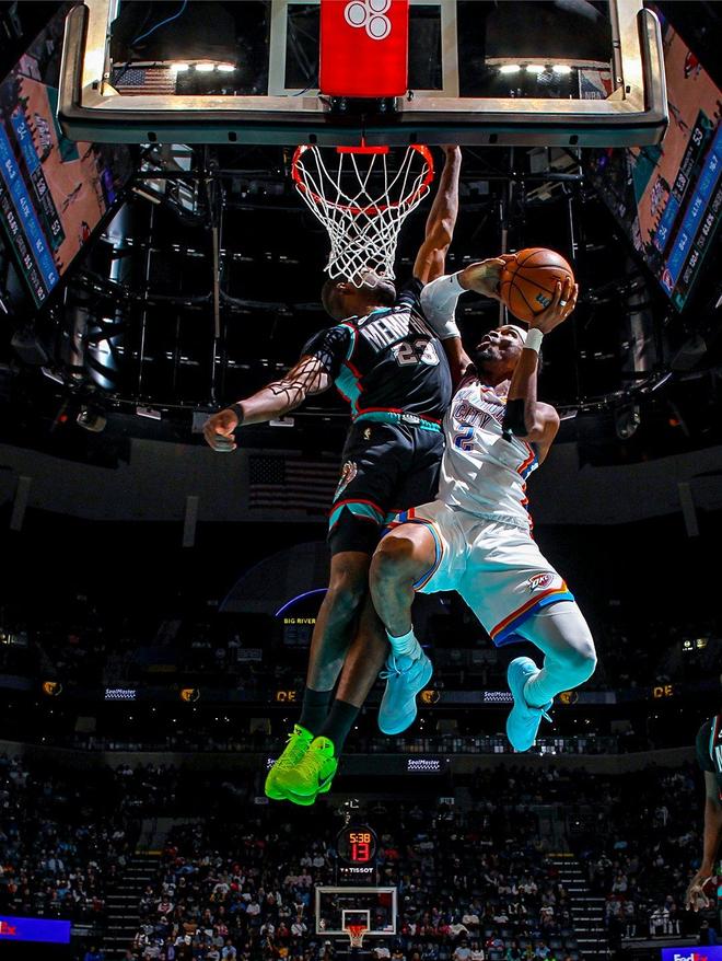 俄克拉荷马月季